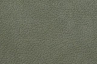 photo2.jpg