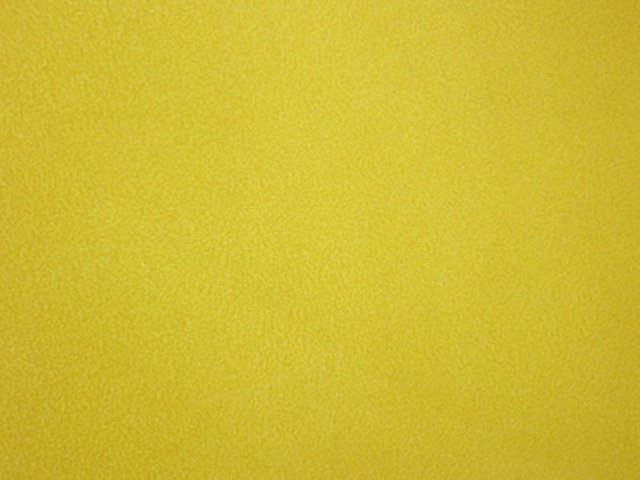 photo1.jpg